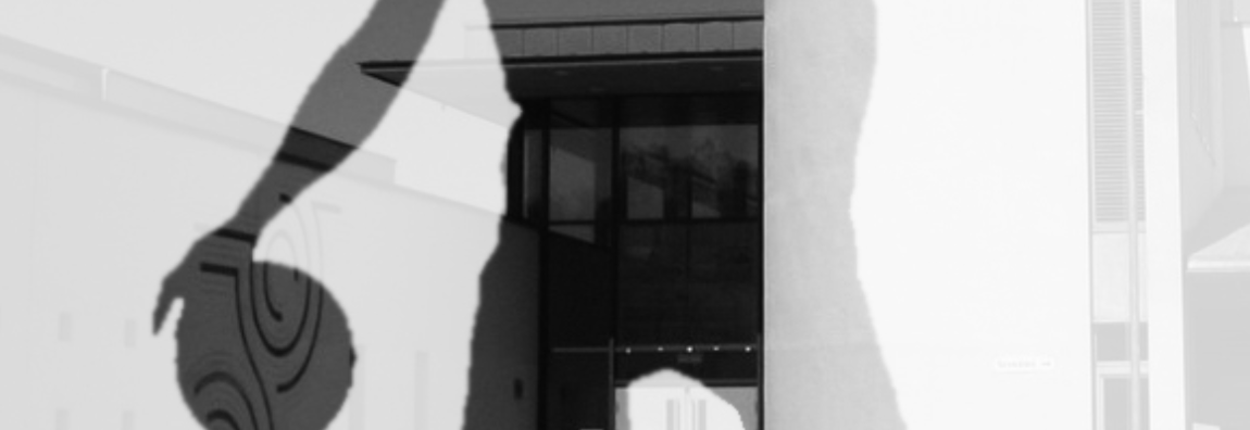 Årlig møte Basketgruppen